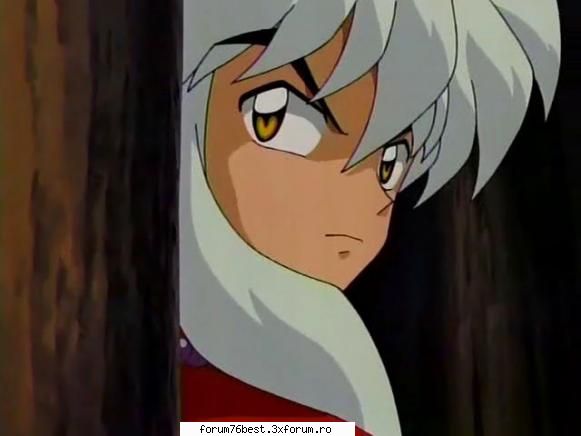 inu the best :zzz:  :zzz: inuyasha