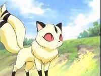 Kirara - e atat de SWEET - Inuyasha